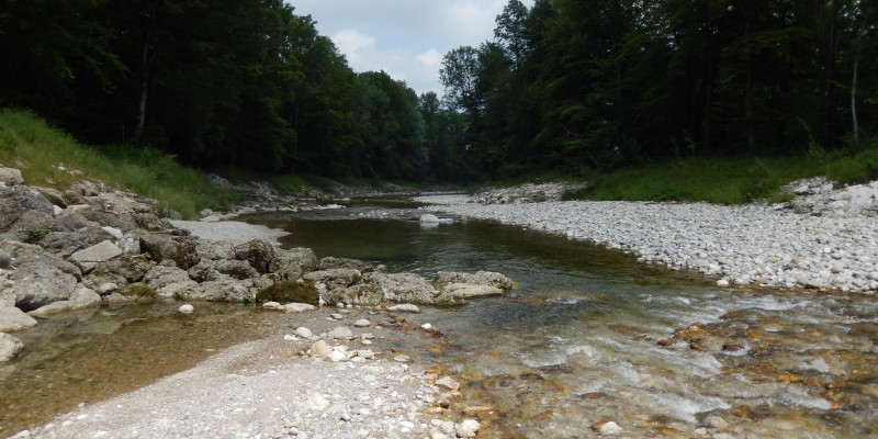 Picture from river in Germany