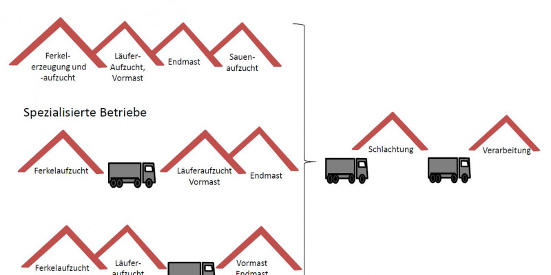 Schematische Darstellung verschiedener Herstellerketten der Schweinefleischerzeugung. Es werden zwei Formen spezialisierter Betriebe und ein Kombi-Betrieb dargestellt.