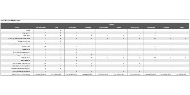 Ausschnitt Download-Modul: ISO 50005 – Verantwortlichkeitsmatrix