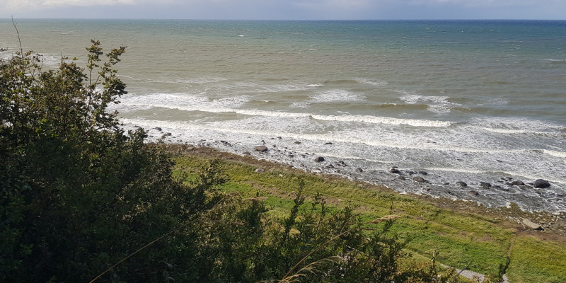 Blick auf See, mit Gräsern bewachsener Strand.