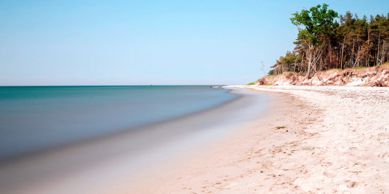 Menschenleerer Sandstrand mit Bäumen im Hintergrund.