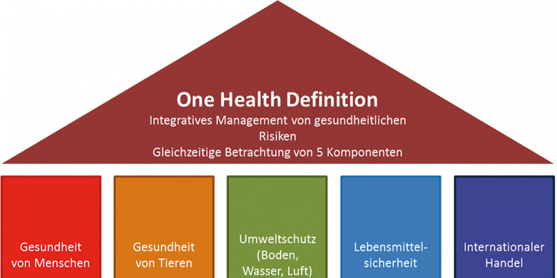 Das Schema stellt die Komponenten des Gesundheitsmanagements als fünf Säulen dar: 1. Gesundheit von Menschen, 2. Gesundheit von Tieren, 3. Umweltschutz (Boden, Wasser, Luft), 4. Lebensmittelsicherheit, 5. Internationaler Handel. Diese Säulen tragen das Dach, welches die One-Health-Definition beinhaltet: Integratives Management von gesundheitlichen Risiken, gleichzeitige Betrachtung von fünf Komponenten.