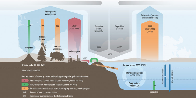 Diagramm zum Quecksilberkreislauf