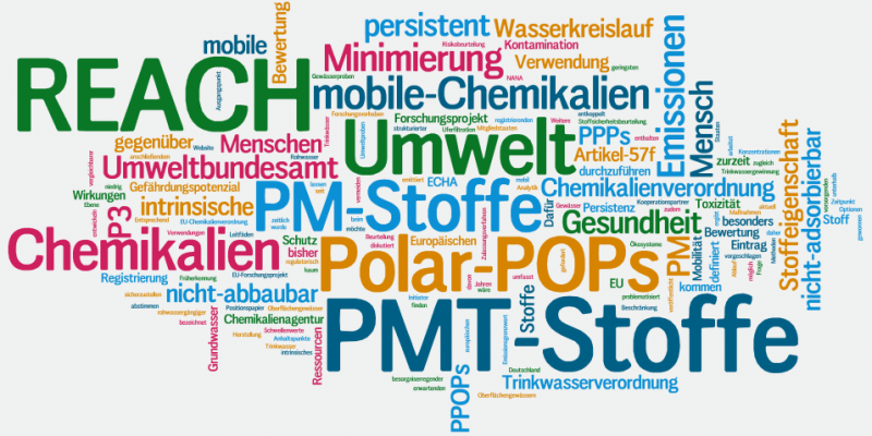 Visualisierung der Fachbegriffe rund um REACH und PMT-Stoffe als Wortwolke.