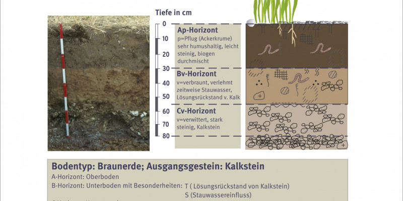 Soil and its structure