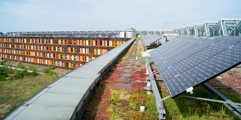 Photovoltaikmodule auf einem Dach mit Dachbegrünung