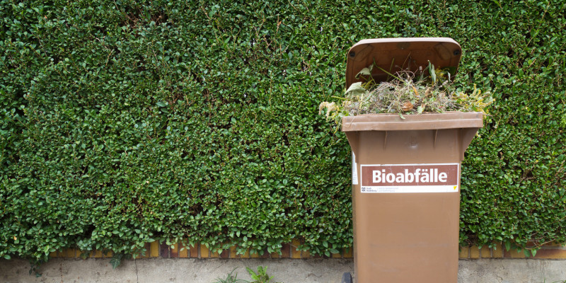 auf einem Gehweg steht vor einer grünen Hecke eine braune Mülltonne, auf der 