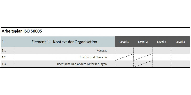 Grafik Arbeitsplan DIN ISO 50005 Element 1: Kontext der Organisation