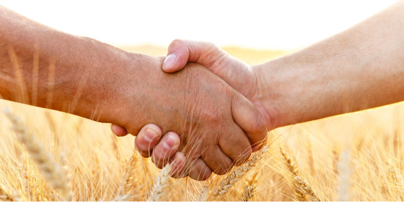zwei Menschen geben sich die Hand, im Hintergrund ein Getreidefeld