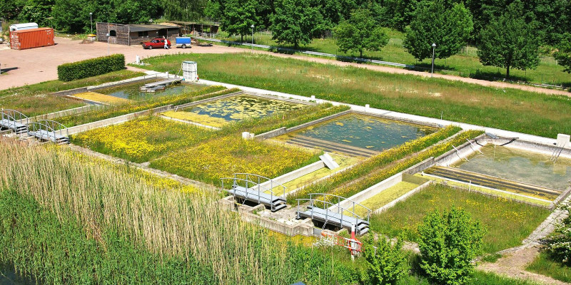 Außenanlage mit wassergefüllten und bepflanzten quadratischen Betonbecken