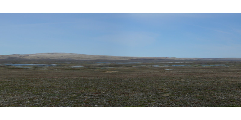 Hügelige feuchte Landschaft vor blauem Himmel