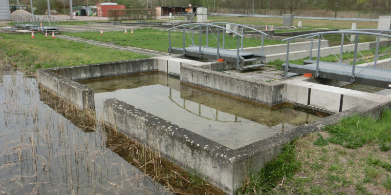 Außenbecken dient als Wasserfilter