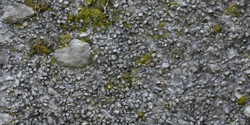 Nahaufnahme eines Bodenabdrucks aus Pflanzen, Schotter und Steinen