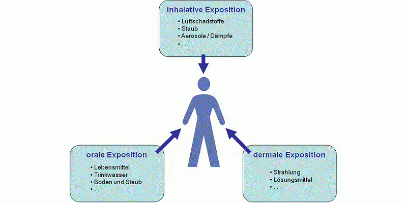 Stilisierter Mensch im Mittelpunkt wird durch in Kästchen dargestellte orale, inhalative und dermale Expositionen pfeilgerichtet beeinflusst