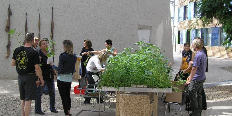 Forum des UBA: Garteninstallation mit hochgewachsenen Pflanzen und Menschen, die diese besichtigen