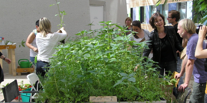 Forum des UBA: Garteninstallation mit hochgewachsenen Pflanzen und Menschen, die diese abholen