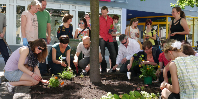 Mitarbeiter des UBA und Kinder pflanzen in der Dessauer Innenstadt ein Blumenbeet (Baumscheibe)