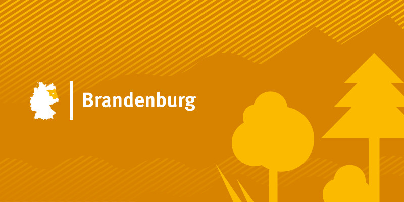 Headerbild für Bundesland Brandenburg