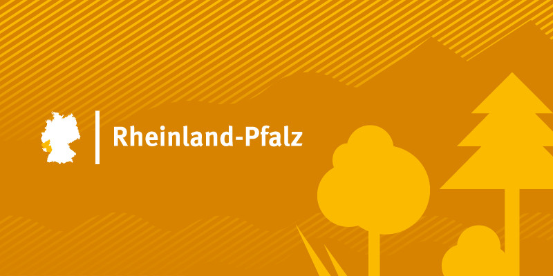 Headerbild für Bundesland Rheinland-Pfalz