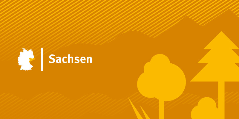 Headerbild für Bundesland Sachsen