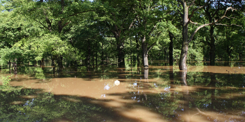 Das Foto zeigt eine Aufnahme vom Muldehochwasser 2013 in Dessau-Roßlau.