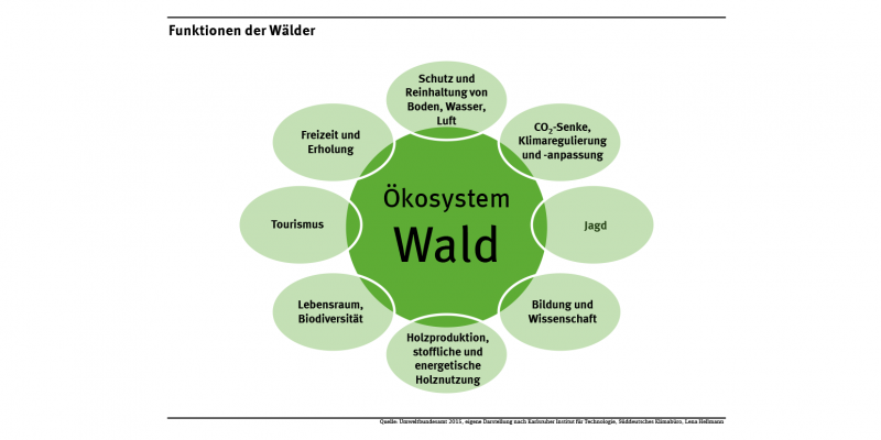 Das Schaubild zeigt verschiedene Bereiche, in denen der Wald Funktionen für Mensch und Umwelt erfüllt. Dazu gehören die Bereiche Wasserschutz, Klimaschutz, Bodenschutz, Biodiversität, Lebensraum sowie Freizeit und Erholung.