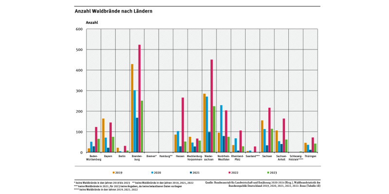 Das Diagramm zeigt die Anzahl der Waldbrände für die einzelnen Bundesländer in den Jahren 2019 bis 2023. Brandenburg verzeichnete in den fünf Bezugsjahren jeweils die höchste Zahl an Waldbränden.