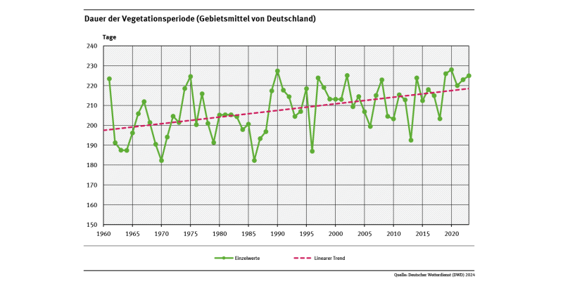 Das Liniendiagramm zeigt die Dauer der Vegetationsperiode in Tagen (Gebietsmittel für Deutschland) seit 1961. Der lineare Trend zeigt, dass die Vegetationsperiode immer länger dauert. 