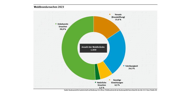 Das Diagramm gibt einen Überblick über die wichtigsten Ursachen für Waldbrände im Jahr 2023. Die wichtigsten geklärten Ursachen waren Fahrlässigkeit und Vorsatz (Brandstiftung). In 51 % der Fälle konnten die Ursachen nicht geklärt werden.