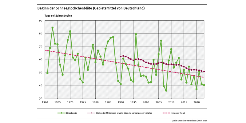 Das Liniendiagramm zeigt den Zeitpunkt des Blühbeginns des Schneeglöckchens (Tage ab Jahresbeginn, Gebietsmittel für Deutschland) seit 1961. Der lineare Trend zeigt, dass sich der Zeitpunkt tendenziell in Richtung Jahresbeginn verschiebt. 