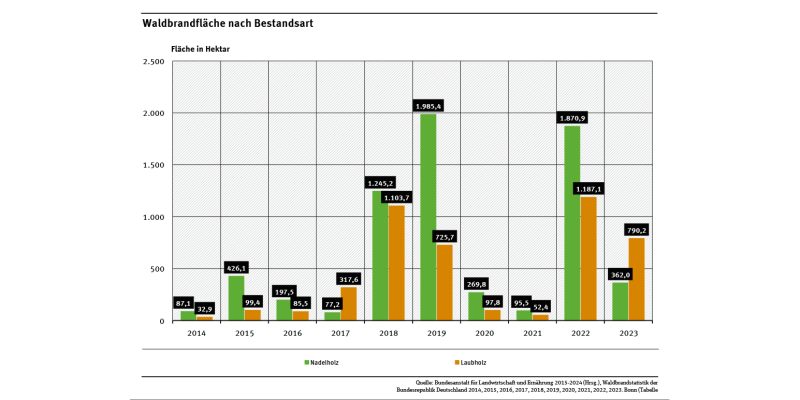 Das Diagramm zeigt die von Waldbränden betroffenen Flächen in Nadel- und Laubholzbeständen in den Jahren 2014 bis 2023. Die Waldbrandfläche mit Laubholzbeständen lag im Jahr 2023 über der betroffenen Fläche mit Nadelholzbeständen.