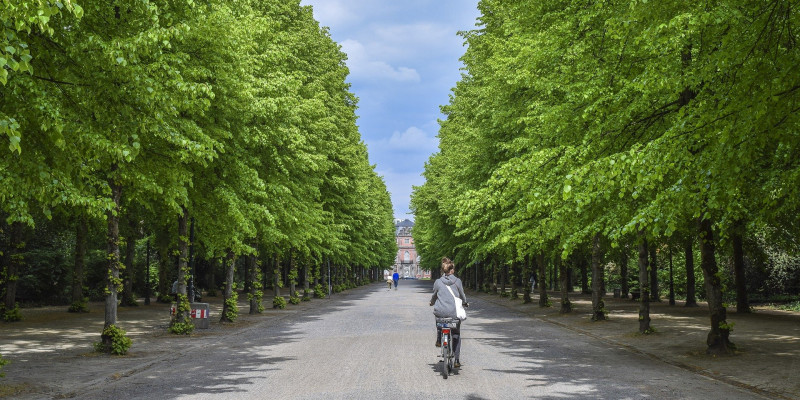 Parkweg mit Radfahrerin