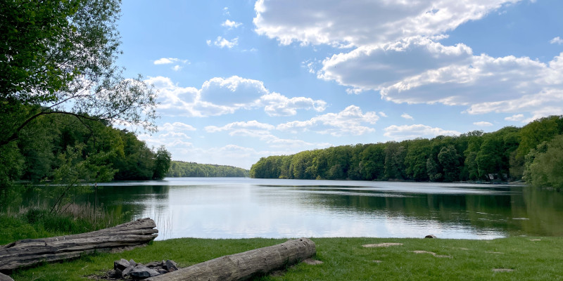 Badesee mit Baumstamm zum Sitzen im Bildvordergrund.