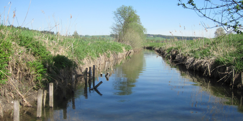 Bachverlauf mit klarem Wasser und blauem Himmel. Am Ufer wächst nur Gras.