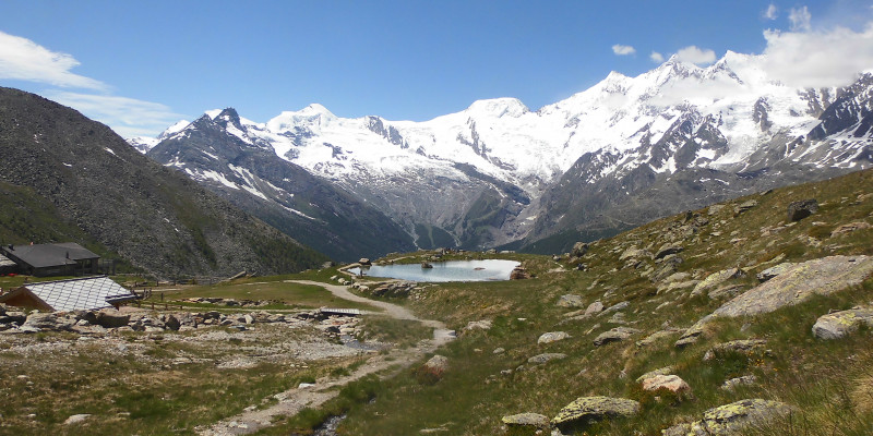 Eine Bergwiese in den Alpen.