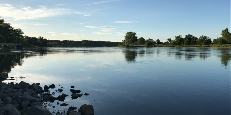 Die Elbe im Abendlicht mit blauem Himmel und grünen Bäumen.