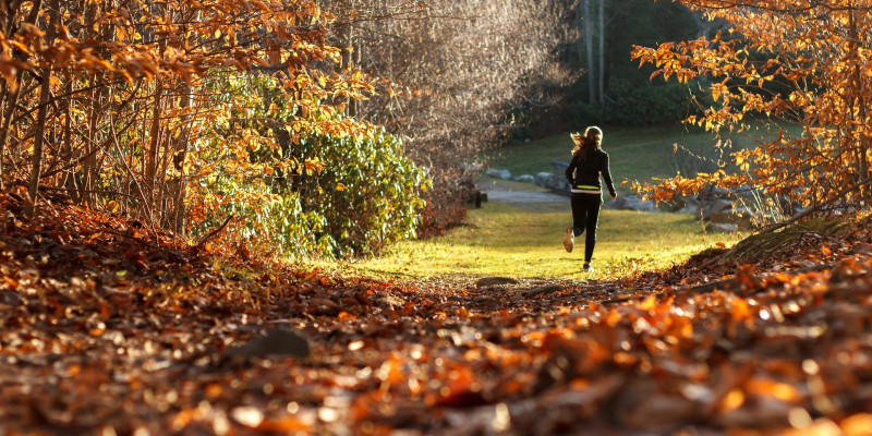 Eine Joggerin im Wald