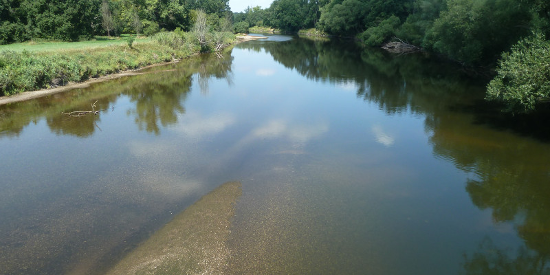 Ein Fluss mit Bäumen 