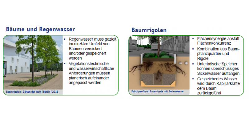 Poster zur Thematik Schwammstadt