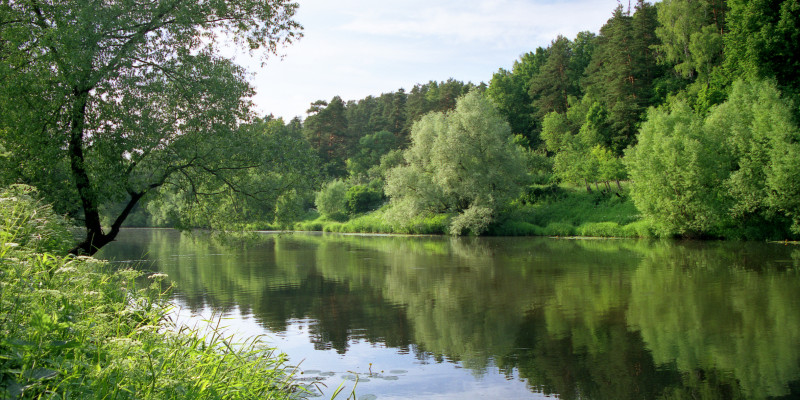 Ein breiter, ruhiger Fluss. Rechts und links viel grüne Natur mit Bäumen.