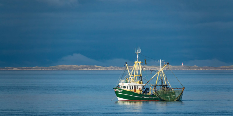 Das Bild zeigt einen Krabbenkutter auf der Nordsee. An der Seite des Schiffs hängt die Baumkurre. Im Hintergrund ist die Küste mit einem Leuchtturm zu erkennen.