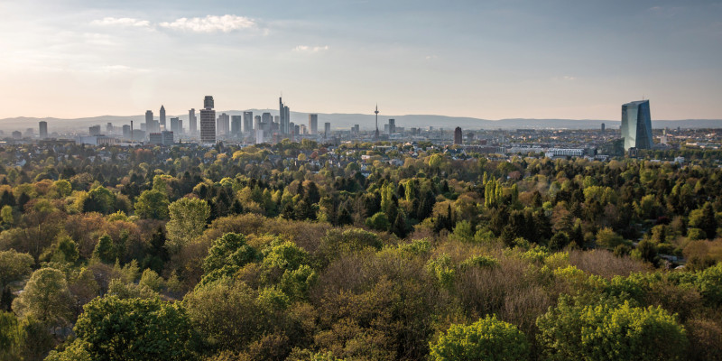 Das Bild zeigt über einen Wald hinweg die Skyline von Frankfurt am Main. Wolkenkratzer und der Fernsehturm erheben sich aus der Landschaft. Im Hintergrund sind die Höhenzüge des Taunus zu erkennen.