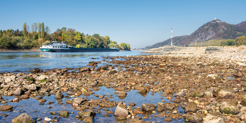 Das Bild zeigt das Flussbett des Rheins mit Niedrigwasser. Ein Frachtschiff fährt in der verbliebenen Fahrrinne.