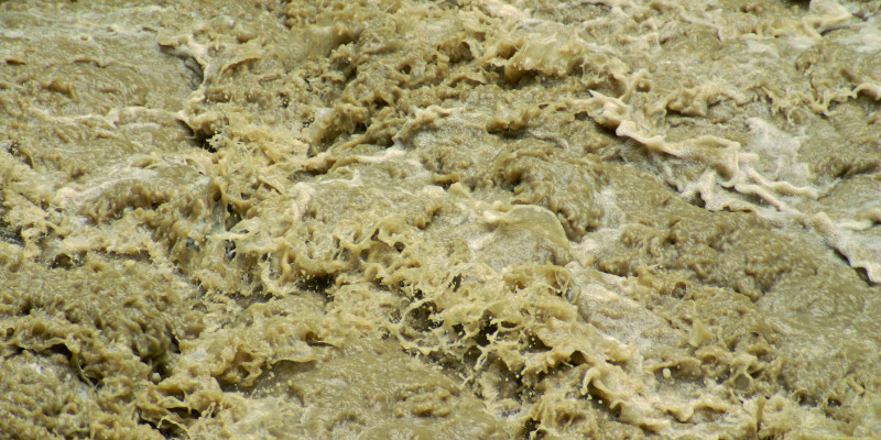 The picture shows a detailed view of a strong current. The water is tinged brown owing to its mud content.