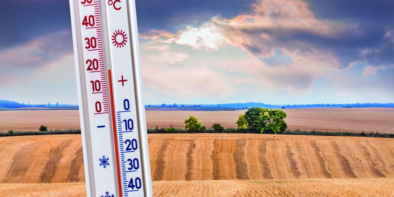 Das Bild zeigt im Vordergrund ein Thermometer, das 20 °C anzeigt. Die im Hintergrund liegende Landschaft ist geprägt von intensiver Landwirtschaft und zeigt ein abgeerntetes Getreidefeld. Dunkle Wolken verdecken die Sonne, die im Hintergrund hinter den dunklen Wolken den Himmel erhellt.