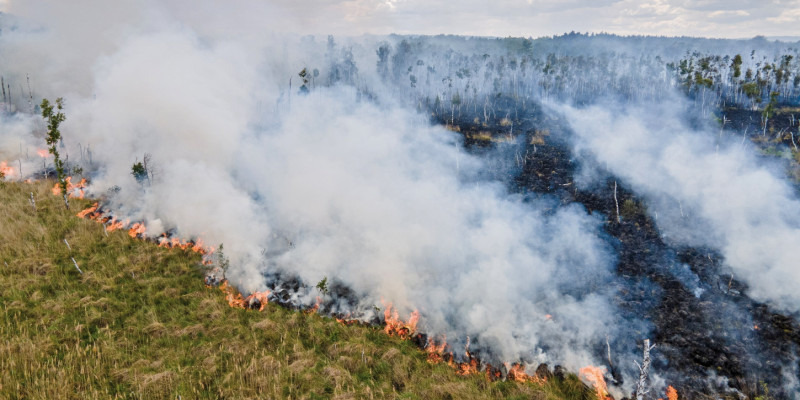 Das Bild zeigt einen ausgedehnten Waldbrand. Grau-weißer Rauch steigt von den Brandherden empor. Im Hintergrund abgebrannte Waldflächen zu sehen.