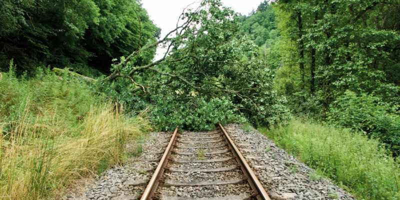 Das Bild zeigt einen einspurige Eisenbahnstrecke, auf deren Gleisen die Krone eines umgestürzten Baums liegt. Rechts und links der Strecke ist Wald zu erkennen.