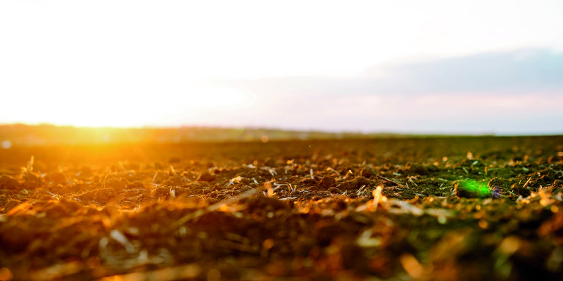 The picture shows a barren arable field enveloped in warm light emanating from a low sun. 