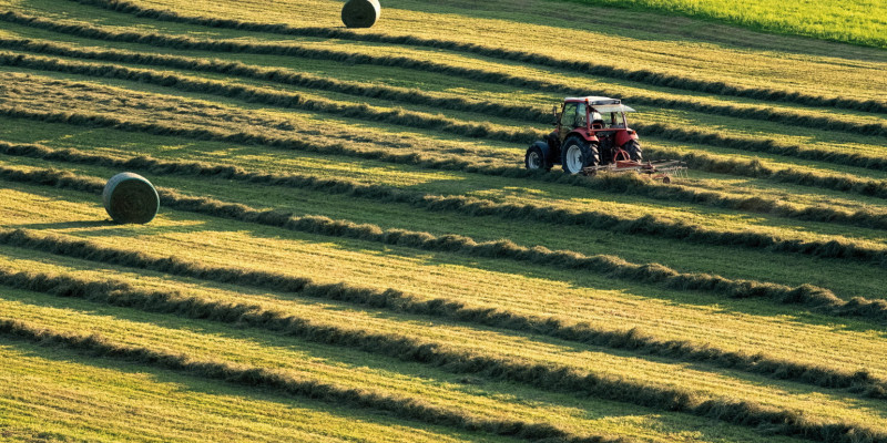 Das Bild zeigt eine Grünlandmahd. In Reihen liegt der gemähte Aufwuchs und wird am rechten Bildrand von einem Traktor gewendet. Am oberen Bildrand ist ein Heuballen zu sehen.