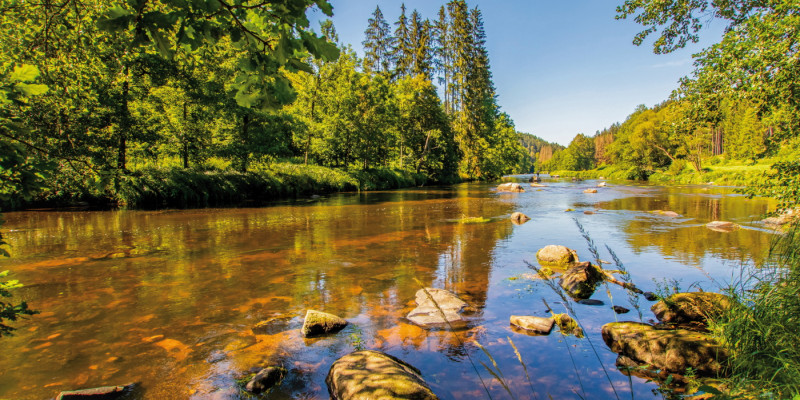 Das Bild zeigt ein flaches, langsam fließendes Gewässer bei sonnigem Wetter und wolkenlosem Himmel. Durch das klare, rotbräunlich schimmernde Wasser des Flusses ist das steinige Gewässerbett zu sehen, einige Steine ragen im Vordergrund über die Wasseroberfläche hinaus. Die Ufer sind von Mischwäldern gesäumt.